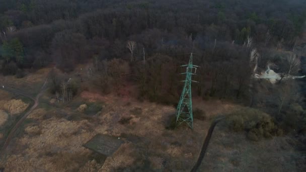 Izolovaná vysílací věž. Zelený elektrický sloup v lese, letecký výstřel. Elektrické vedení. Vysokonapěťová věž. Koncept energetické účinnosti — Stock video