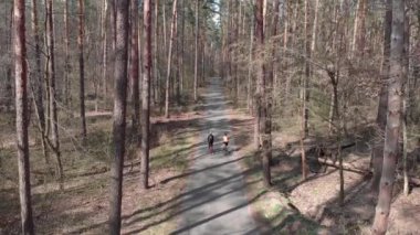Kadınlar ormanda bisiklete binerler. Parkta bisiklet süren iki profesyonel bisikletçi. Triatlon ve bisiklet konsepti. Çekici bisikletçi kızlar. Parkta at süren kadınlar. Kadın bisikleti