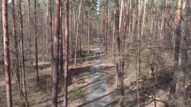 Unga kvinnor cykla på cyklar bland skogen. Kvinnor rider på cyklar utomhus. Triathleter trampar på cyklar i parken. Cykelkoncept. Attraktiva cykeltjejer. Kvinnor ridning i parken — Stockvideo