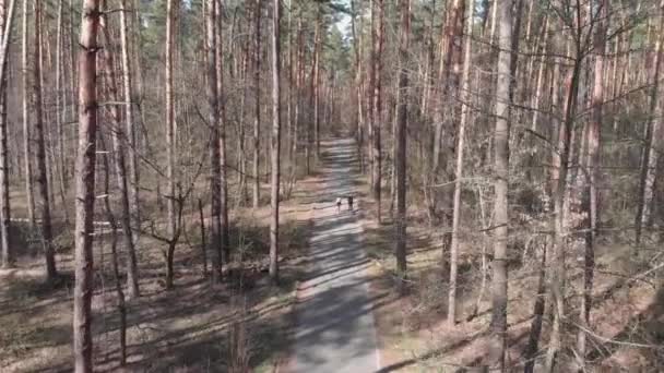 A nők az erdei kerékpárúton bicikliznek. A lányok bicikliznek a parkban. Triatlon koncepció. Vonzó biciklis lányok. Nők lovagolnak a parkban. Női kerékpározás — Stock videók