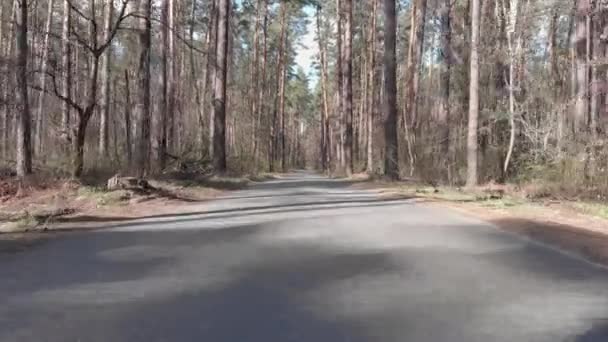 Camino de asfalto bosque vacío alrededor de pinos verdes, vista aérea seguir. Carretera aislada en el bosque — Vídeo de stock