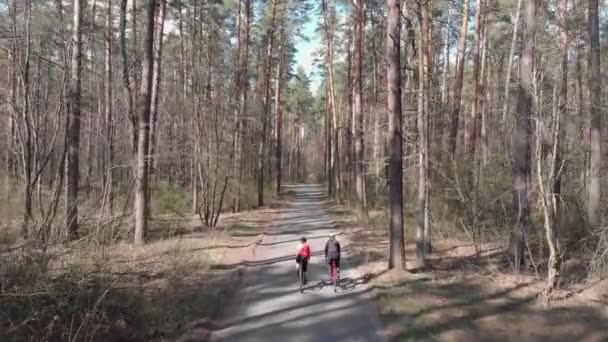 Unga kvinnliga professionella cyklister i varma ytterkläder ridning cyklar genom skogen på solig dag. Kvinnor på cyklar cykla genom skogen tillsammans, antenn utsikt. Triathlonkonceptet — Stockvideo