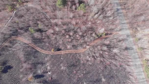 Incendi forestali. Alberi e campi bruciati. Pericolo. Inquinamento ambientale. Alberi bruciati sul fuoco. Concetto di danno ambientale. Foresta bruciata dopo l'incendio — Video Stock