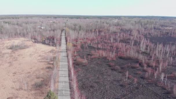 Wald in Asche nach einem Brand. Verbrannte Bäume und Felder, Luftaufnahme. Luftverschmutzung durch Waldbrände. Naturkatastrophe. Umweltverschmutzung — Stockvideo
