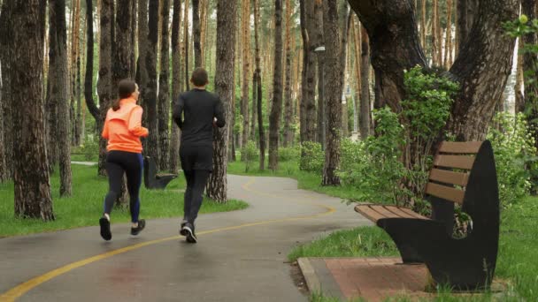 Spor çifti parkta birlikte koşar. Kadın ve erkek parkta kaldırımda koşuyorlar. Sporcular dışarıda birlikte antrenman yapıyor. Koşmak ve sağlıklı yaşam tarzı kavramı — Stok video