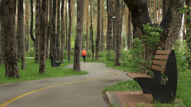 雨の日に公園を走る人たち。女と男は公園でジョギング。ランニングとスポーツのコンセプト — ストック動画