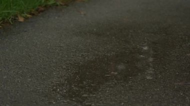 Spor ayakkabılı kadın koşucu bacakları. Kadın parkta yağmurda koşuyor ve çamurlu su birikintisine basıyor. Yaklaş. Spor ve çalışma konsepti