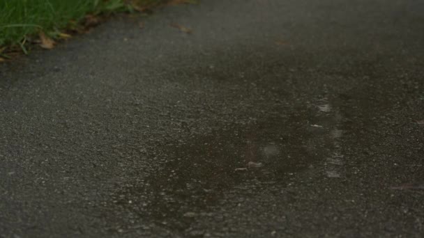 スニーカーを履いた女性ランナーの足。女性は雨の中で公園で屋外でジョギングし、泥だらけの水たまりに足を踏み入れる、閉じます。スポーツとランニングのコンセプト — ストック動画