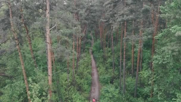 Femme sportive descendant en forêt le jour de pluie. Suivi aérien d'un sentier épique couru en forêt. Athlète féminine courir sur un sentier sale dans la forêt dense, l'entraînement dur et la préparation pour le marathon 