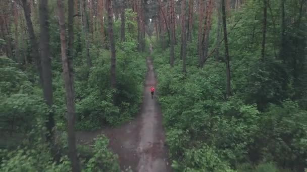 Kvinnans löpare tränar i skogen. Sportiv kvinnlig idrottsman springer på smutsiga spår i skogen på regnig dag. Triathlete joggar och förbereder sig för ultra maraton. Sportkvinnan springer på stigen i tät skog — Stockvideo