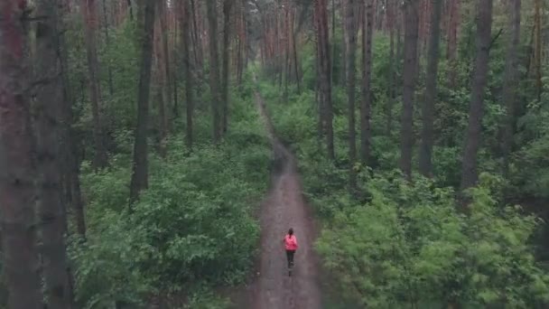 Тріатлоністка біжить по стежці в лісі. Жінка біжить у лісі. Жінка-спортсмен витривалість тренування на відкритому повітрі в лісі. Спортивна жінка біжить на брудному шляху в дощовий день і готується до марафону — стокове відео