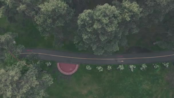 Sendero vacío y carril bici en el parque verde de la ciudad en el día lluvioso, tiro aéreo con drones, vista superior. Parque vacío rodeado de pinos — Vídeo de stock