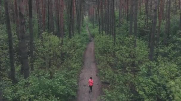 Kvinna spår som löper i skogen på regnig dag. Sportiv kvinnlig idrottsman körs på smutsig skogsväg omgiven av gröna träd, antenn drönare utsikt. Kvinnans löpare tränar i skogen. Idrottsbegreppet — Stockvideo