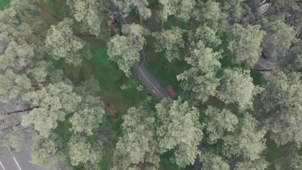 Vacío parque verde de la ciudad con lago, sendero y carril bici en el día lluvioso, vista superior. Tiro aéreo de drones de gran parque de la ciudad rodeado de pinos verdes con carretera de coche . — Vídeos de Stock