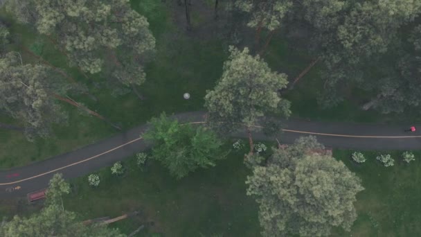 Una mujer corriendo en un parque vacío en un día lluvioso. Corredor corriendo sola en el parque de la ciudad, vista superior. Entrenamiento de deportistas al aire libre — Vídeo de stock