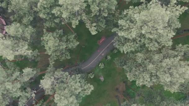 Una corredora corriendo en el parque. Mujer corriendo por el sendero en el parque en el día lluvioso. Atleta entrenando sola al aire libre. Estilo de vida saludable y concepto deportivo. Drone vista superior — Vídeos de Stock