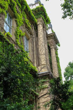 Eski şehre doğru yürü. Eski mimari, yeşil bitkileri olan bir bina. Avrupa. Turizm, yeni yerler, ailemle vakit geçirmek. Kartpostal, ekran koruyucu, arkaplan.