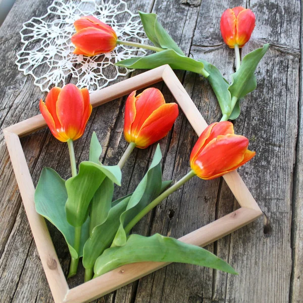 Červené Tulipány Dřevěné Pozadí — Stock fotografie