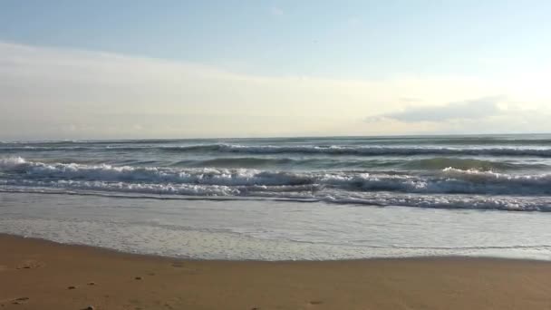 Chica de cinco años fresco día de otoño va en botas en la playa — Vídeos de Stock