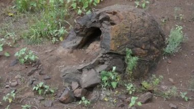 Dinozor yumurtaları şeklini andıran kireç oluşumu ıslak Olhovka Kotovo Köyü ilçe, Volgograd bölgesi, Rusya bulundu