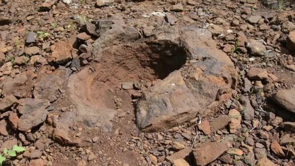 Formación de piedra en ruinas que se asemeja a una forma de huevos de dinosaurio se han encontrado cerca de la aldea de Wet Olhovka Kotovo Distrito, Región de Volgogrado, Rusia — Vídeo de stock