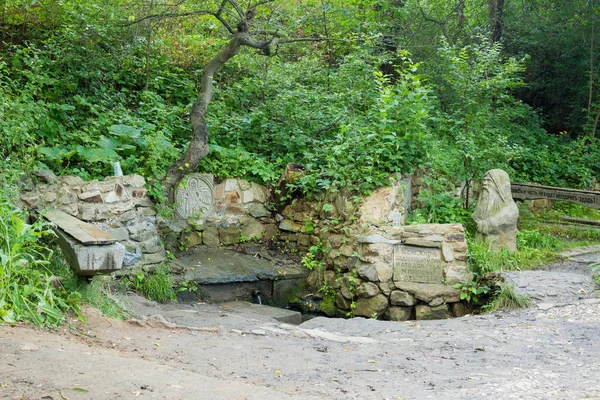 Avô taran em uma visão de primavera de um carneiro batedor - fonte do rio "carica" no distrito de Horodyshche da região de Volgograd, a Rússia — Fotografia de Stock