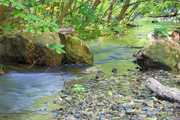 Creek que flui através do bosque verde, fotografado com uma longa exposição — Fotografia de Stock