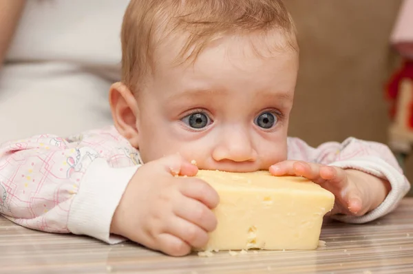 Baby liked a piece of tasty cheese — Stock Photo, Image