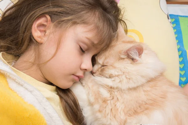 Dziewczyna i kot słodko spać w łóżku, grzebiąc siebie — Zdjęcie stockowe
