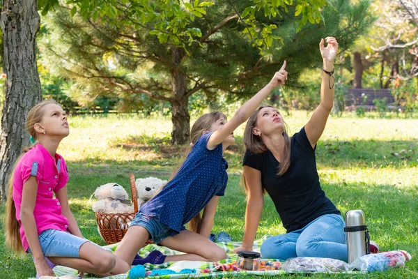 Familia en un picnic vio algo en un árbol y mira hacia arriba —  Fotos de Stock