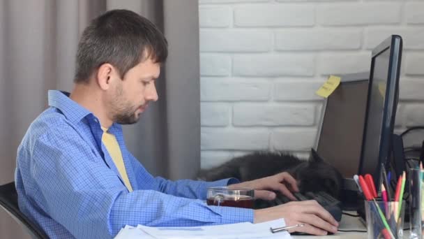 若い男が自宅のコンピューターで働いているテーブルの横には濃い灰色の猫がいる — ストック動画