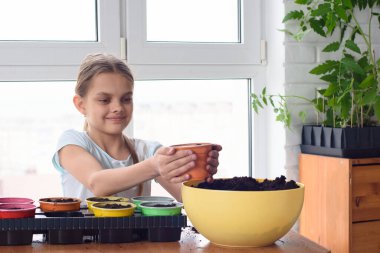 Bir kız tohum ekmek için toprak döktü.