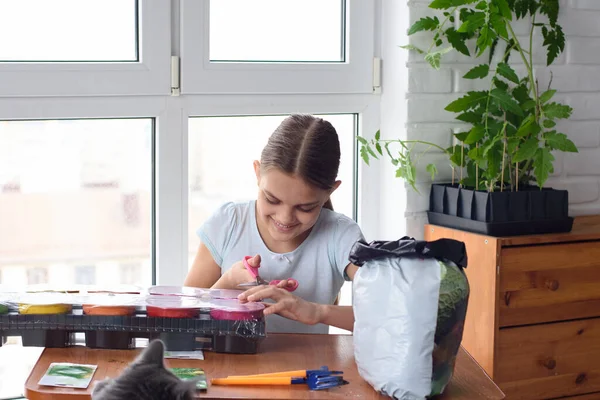 Kız Fidanlar Için Saksıları Olan Bir Paket Açar — Stok fotoğraf