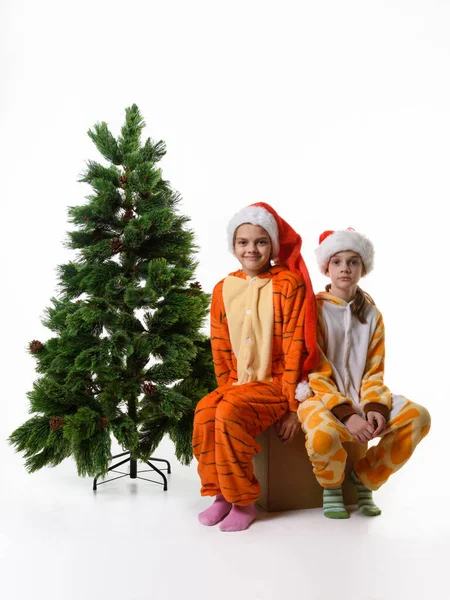 Dos Chicas Sentadas Una Caja Con Juguetes Cerca Árbol Navidad — Foto de Stock