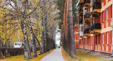 Sokakta sonbahar yaprakları