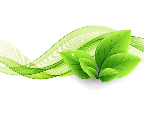 Vektor eco blad och gröna vågen — Stock vektor