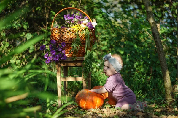 Beautiful Baby Smiling Sitting Basket Nature — Stock Photo, Image