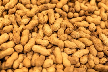 Kabuk dokularında yer fıstığı arka planda taze lezzetli altın sarısı