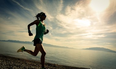 çalışan genç fitness kadın