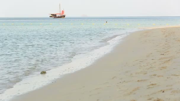 Frau läuft am Strand von Sonnenaufgang — Stockvideo