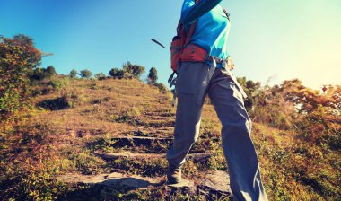 genç kadın backpacker 