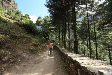 genç kadın backpacker