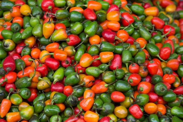 Свежий красный и зеленый чили — стоковое фото
