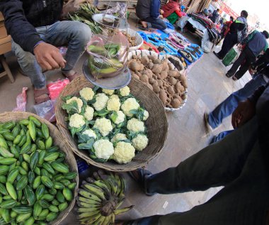 taze karnabahar satış