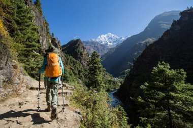 genç kadın backpacker