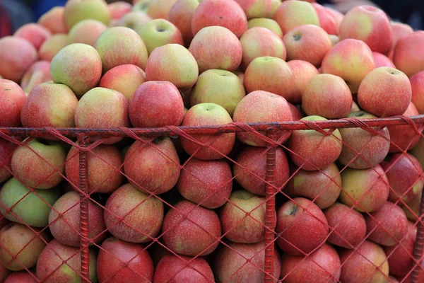 Menjual apel India segar — Stok Foto