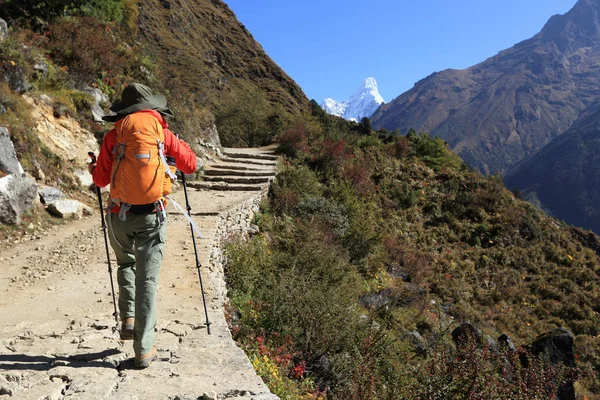 genç kadın backpacker