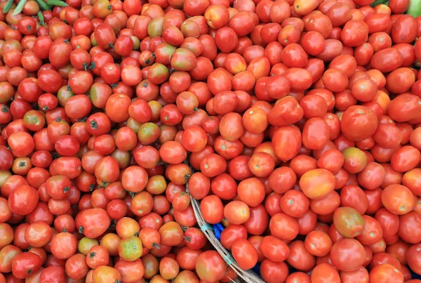 Taze domates satan — Stok fotoğraf