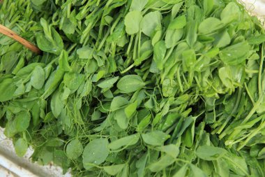 Yeşil bezelye lahanası