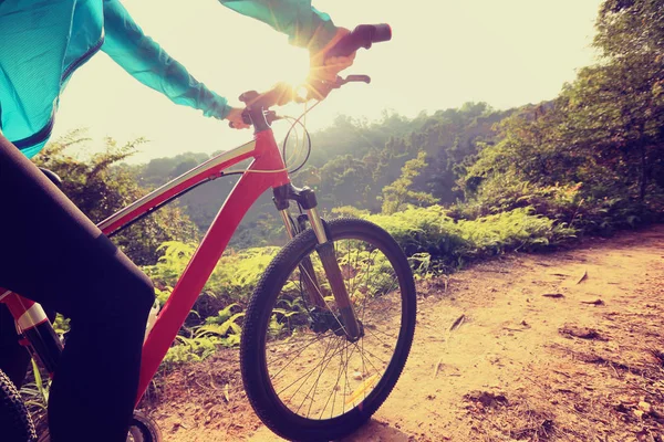 Mujer joven con bicicleta de montaña — Foto de Stock